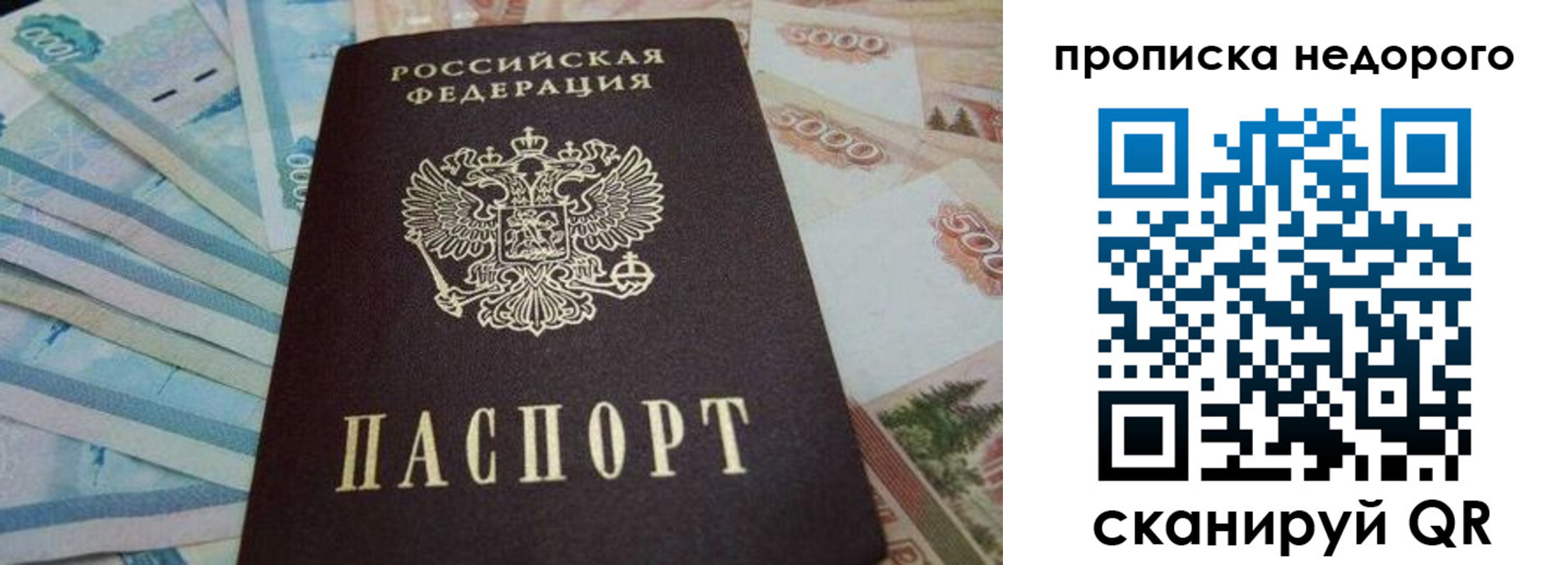 временная регистрация поиск в Острове